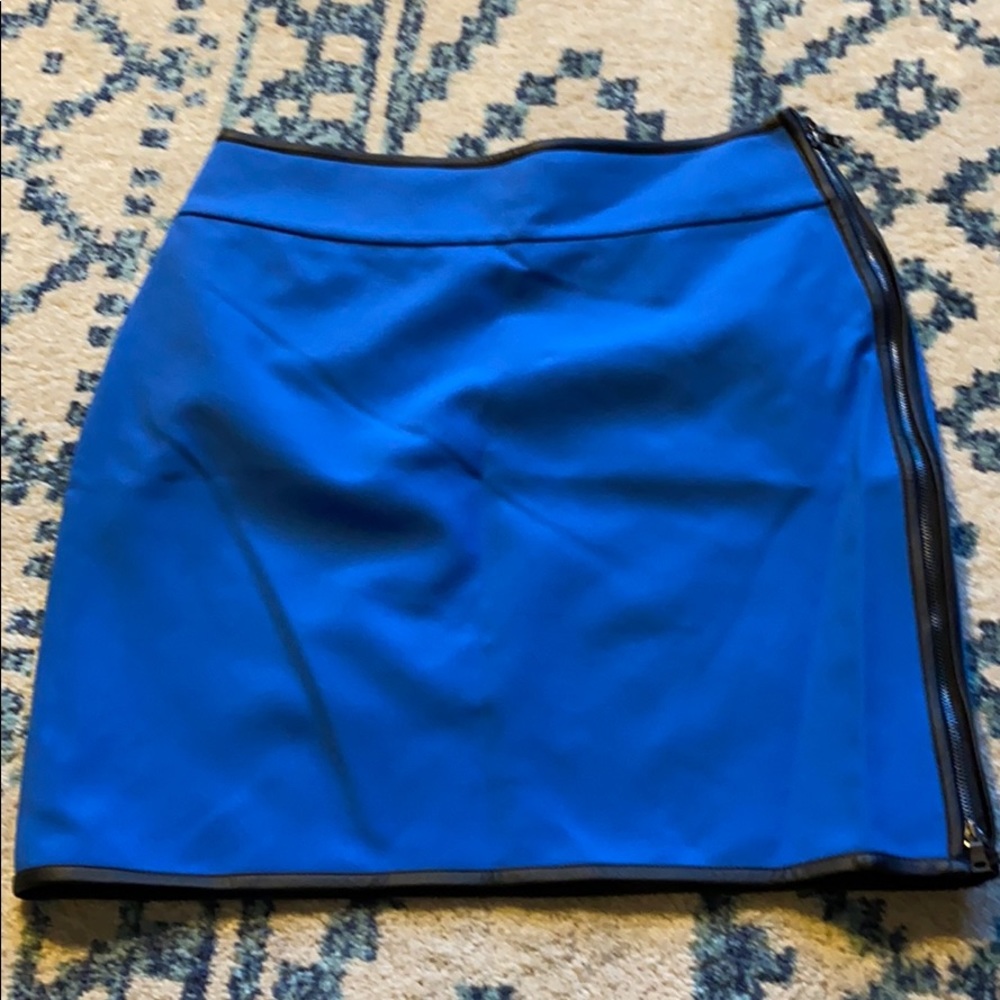 Ann Taylor Skirt
